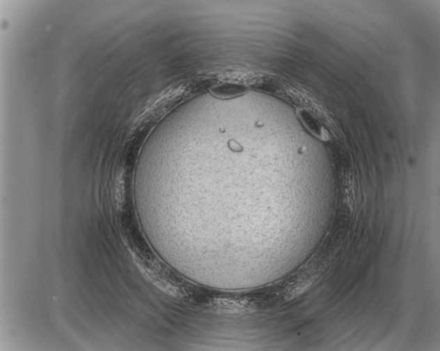 X0000085250690200703231650