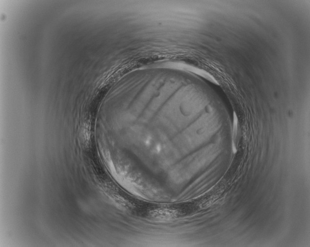 X0000085250691200703231650