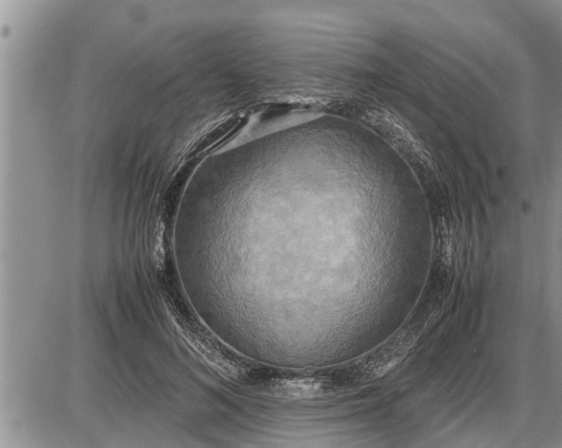 X0000085250692200703231650