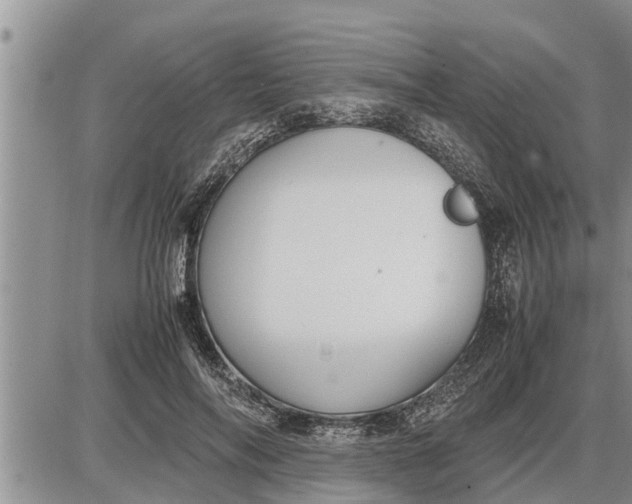 X0000085250694200703231650