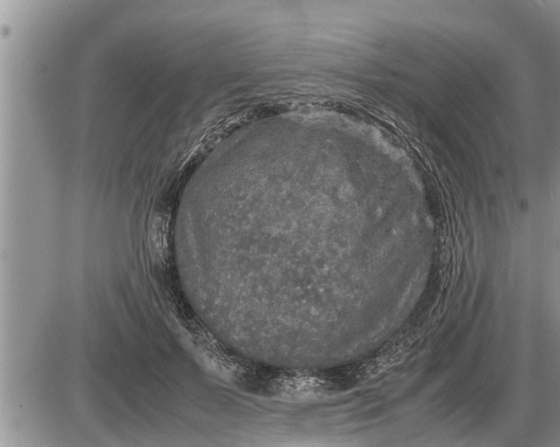 X0000085250695200703231650