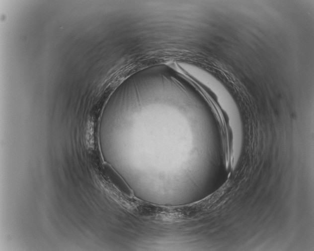 X0000085250696200703231650