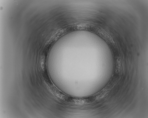 X0000085250698200703231650