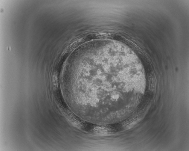 X0000085250699200703231650