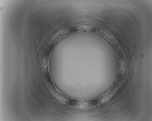 X0000085250701200703231650