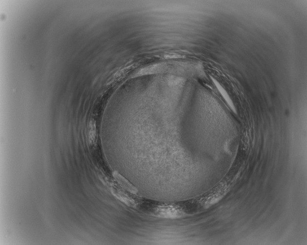 X0000085250704200703231650