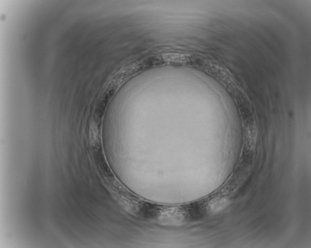 X0000085250705200703231650