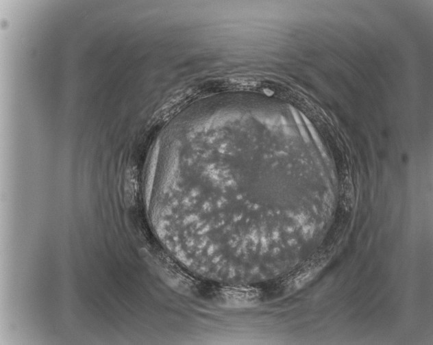 X0000085250707200703231650