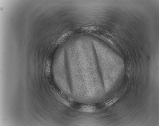 X0000085250708200703231650