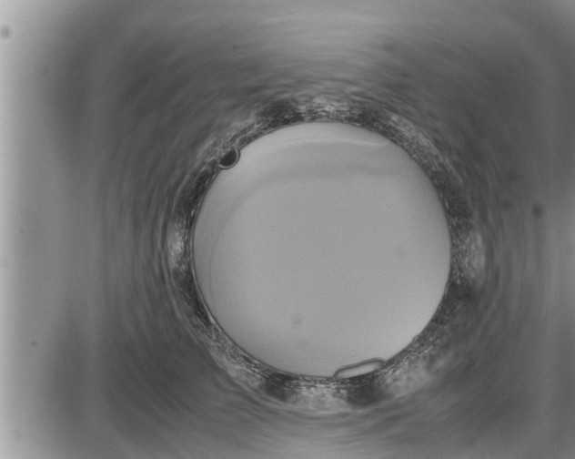 X0000085250709200703231650