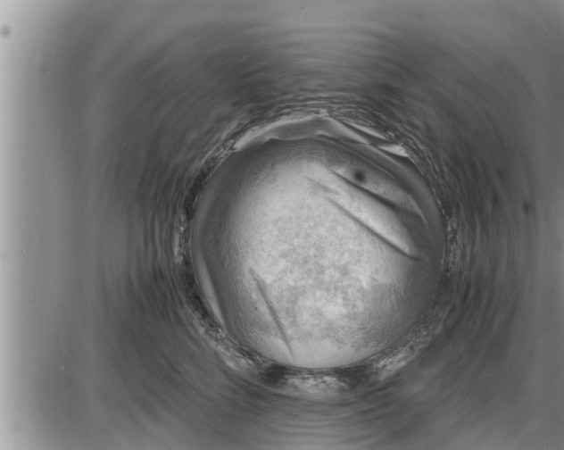 X0000085250712200703231650