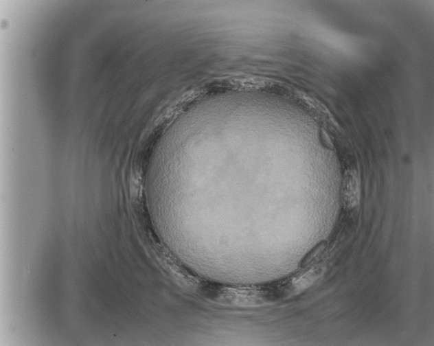 X0000085250713200703231650