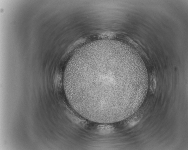 X0000085250714200703231650