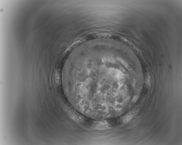 X0000085250715200703231650