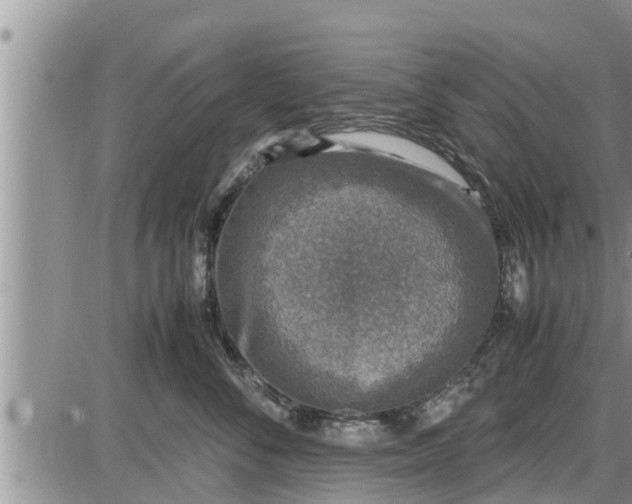 X0000085250716200703231650