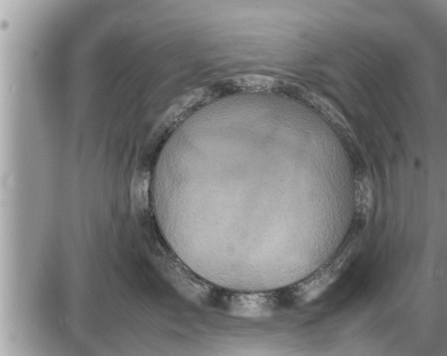 X0000085250717200703231650