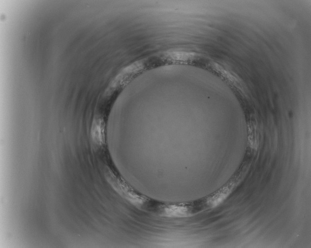 X0000085250718200703231650