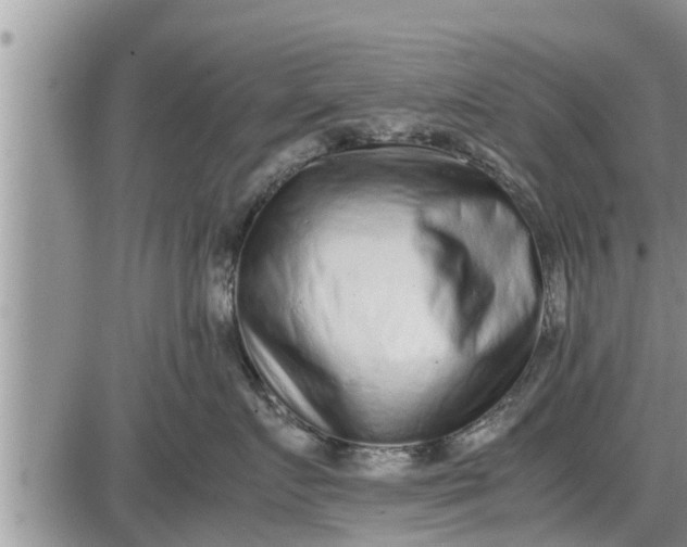 X0000085250719200703231650