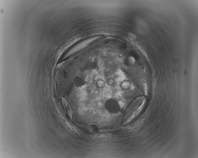 X0000085250721200703231649