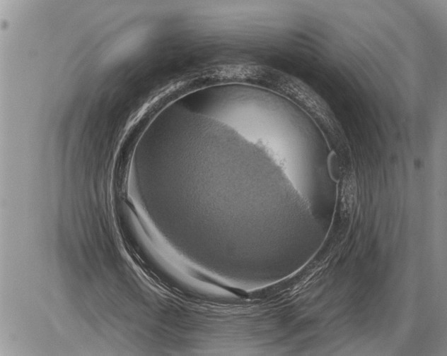 X0000085250722200703231649