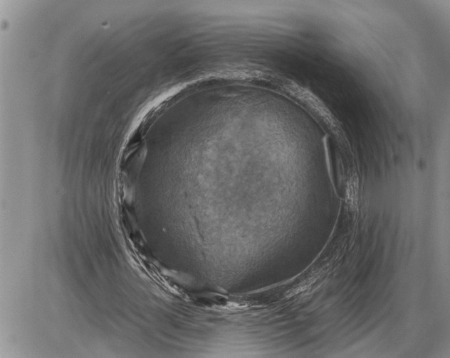 X0000085250724200703231649