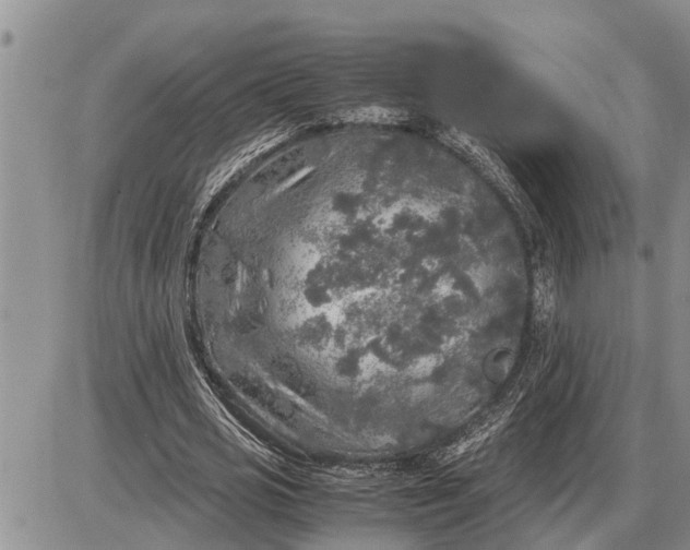 X0000085250725200703231649