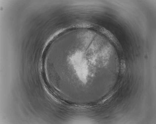 X0000085250726200703231649