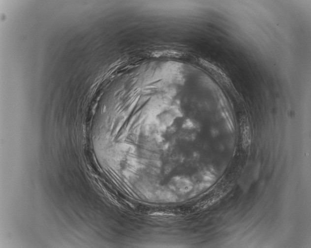 X0000085250729200703231649