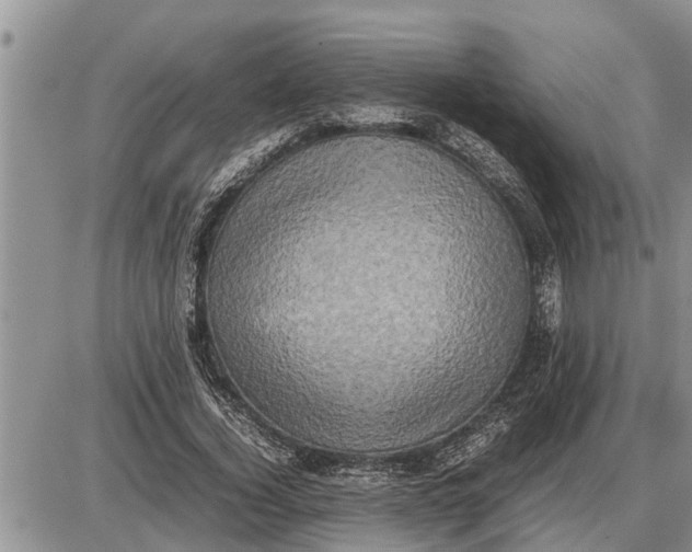 X0000085250732200703231649