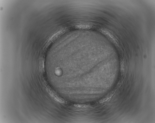 X0000085250733200703231649