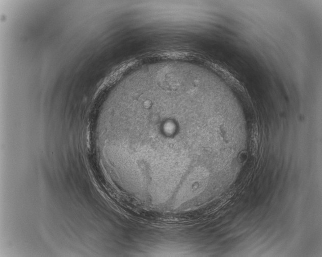 X0000085250734200703231649