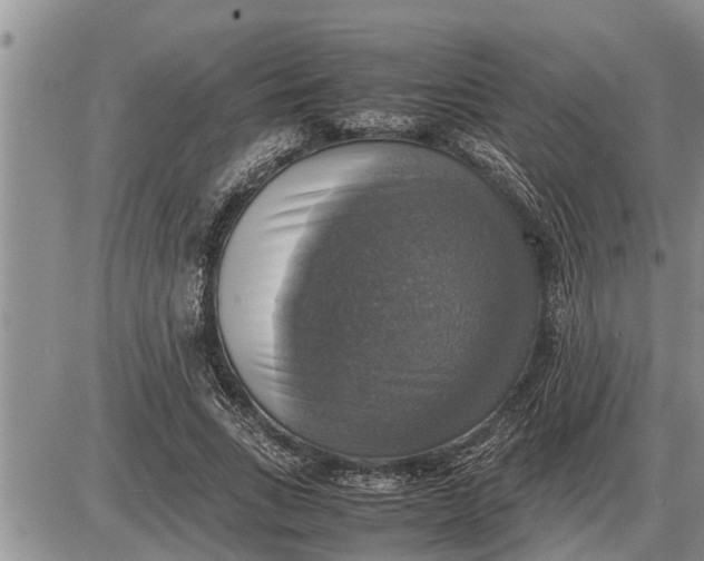 X0000085250735200703231649