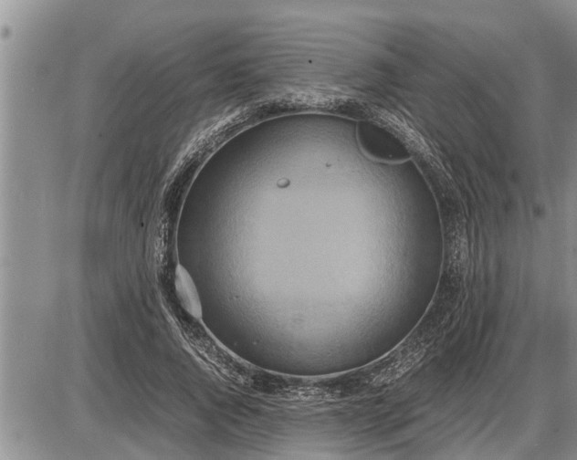 X0000085250736200703231649