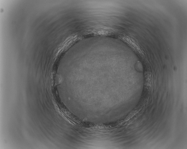 X0000085250738200703231649