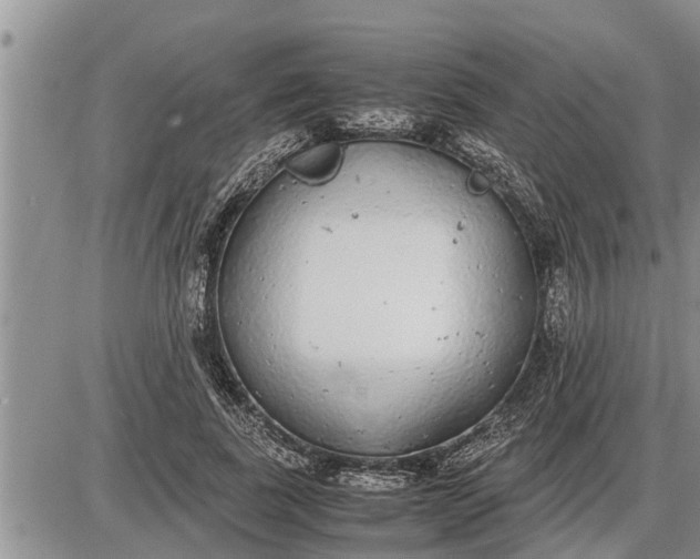 X0000085250739200703231649