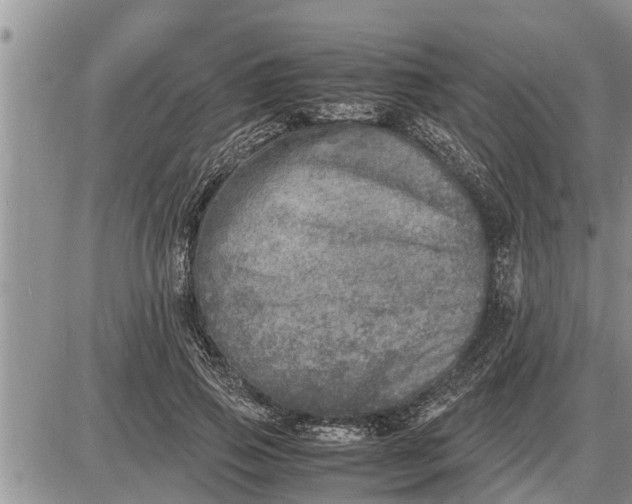 X0000085250741200703231649