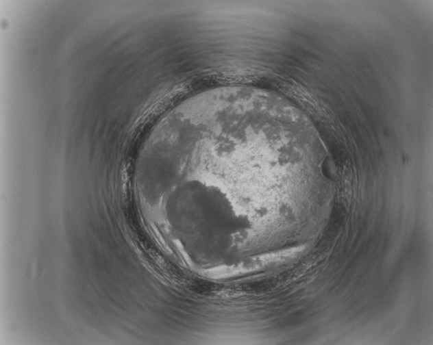 X0000085250742200703231649