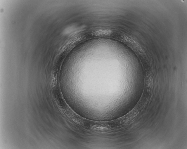 X0000085250743200703231649