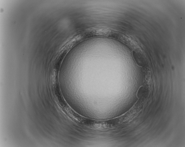 X0000085250744200703231649