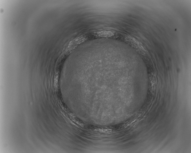 X0000085250745200703231649