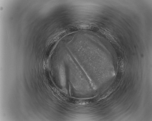 X0000085250746200703231649