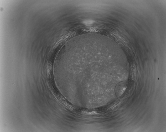 X0000085250747200703231649