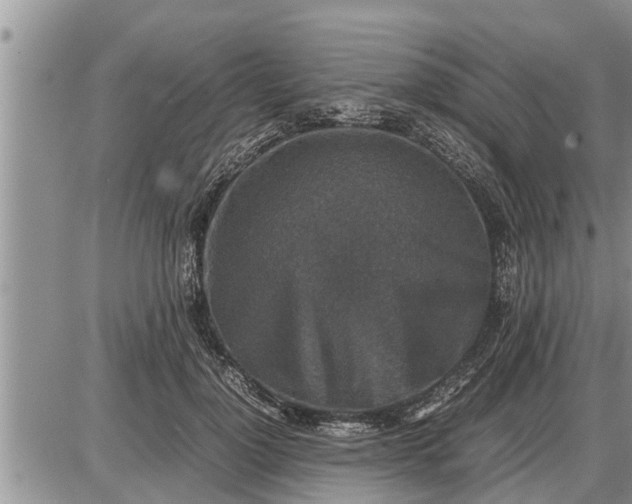 X0000085250748200703231649