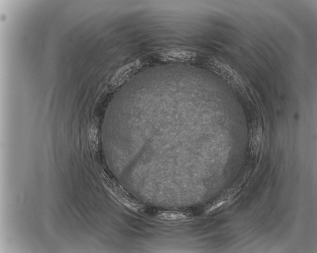 X0000085250749200703231649