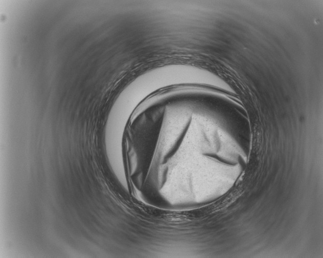 X0000085250750200703231649