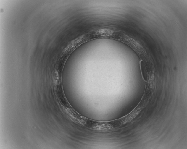 X0000085250752200703231649