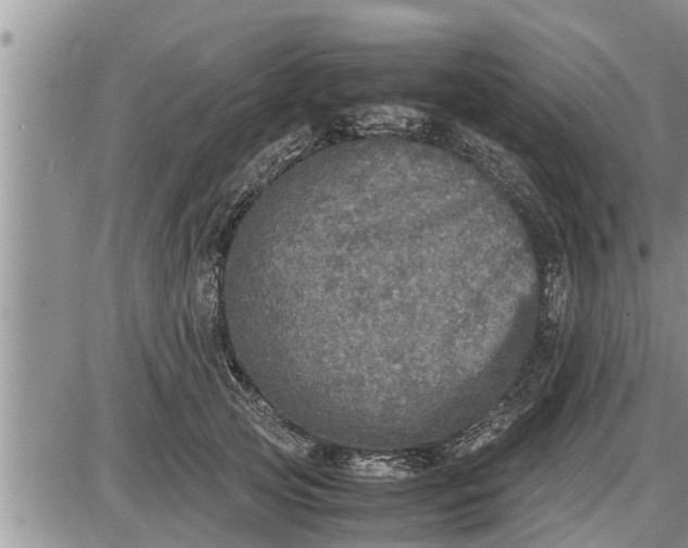 X0000085250753200703231649