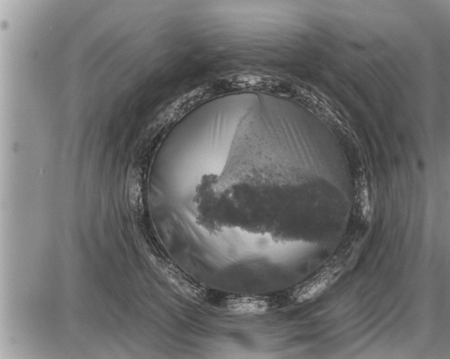 X0000085250754200703231649