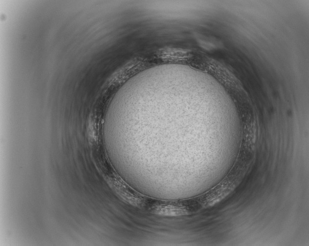 X0000085250755200703231649