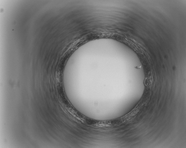 X0000085250756200703231649